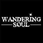 Wandering Soul - Things We Don't Say NEDipa 0